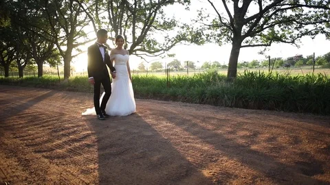 Taking a Stroll Under The Trees Stock-Footage 114888308