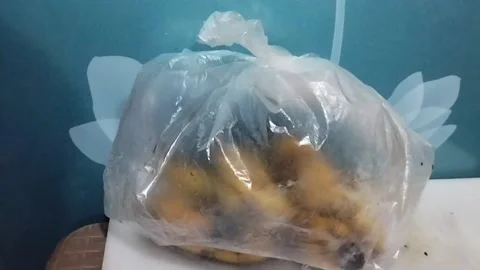 Taking a Tied Transparent White Plastic Bag Filled with Kepok Bananas Stock Footage 229305364