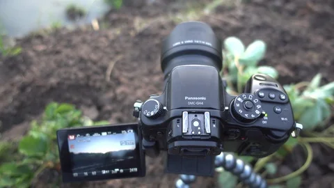 Taking timelapse at Mae Hong Son, Thailand Stock Footage 101157923