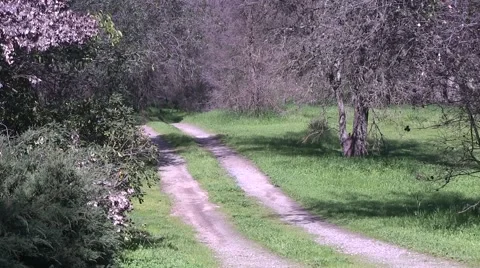 Taking the tractor for a spin Video stock 48334179