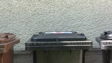 Taking the Trash Out Video stock 128850