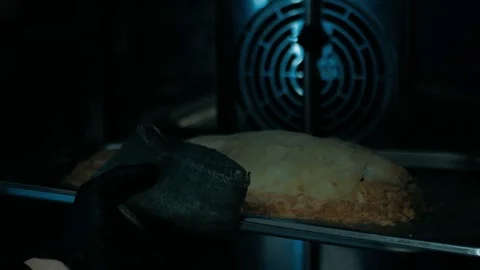 Taking tray with salt-crusted fish out of the oven Stock Footage 125458528