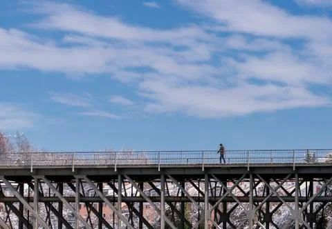 Taking a walk on a bridge Stock Photos