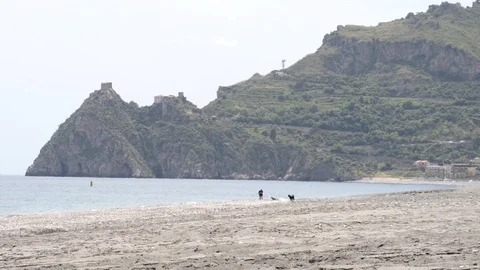 Taking a walk with your dog on the beach Stock Footage 107543783