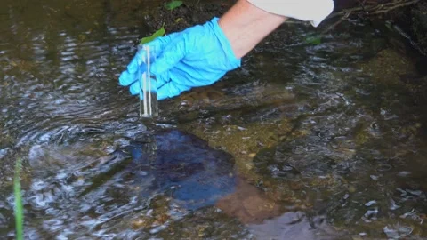 Taking a water sample from a stream into a test tube. Stock Footage 162550525