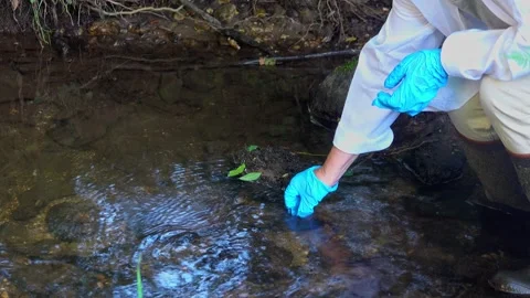 Taking a water sample from a stream into a test tube. Stock Footage 205768110