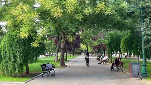 Taksim Gezi Park Stock Footage 315005696