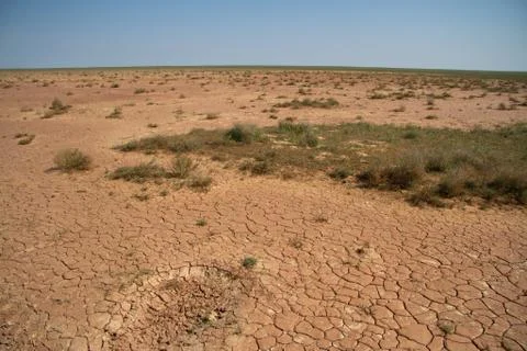 Takyr desert with sparse vegetation spring day in kalmykia Foto stock