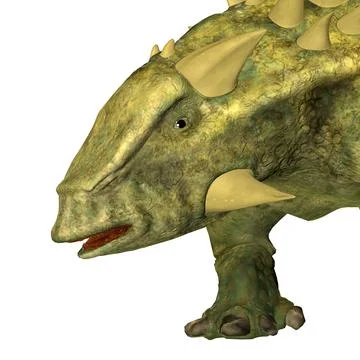 Talarurus Ankylosaur Head Stock Illustration