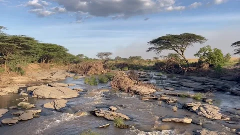 Talek river streaming Stock Footage 278444920