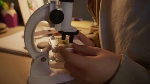Talented Scientist Boy Observing Leaf Under Microscope at Home Stock Footage 326669344