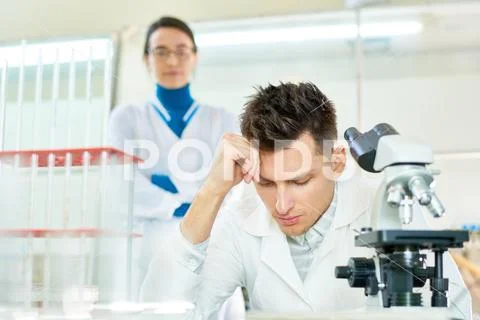 Talented Team of Scientists at Work Stock Photos