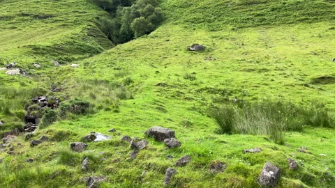 Talisker Bay, Isle of Skye Stock Footage 215607507