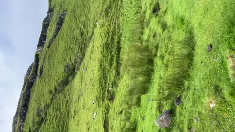Talisker Bay, Isle of Skye Stock Footage 243707291