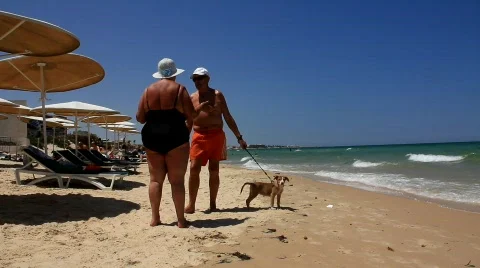 Talk on the beach Stock Footage 789553