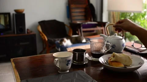 Talk to cat Stock Footage 158286868