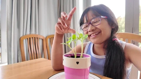Talk to her plant Stock Footage 329013565