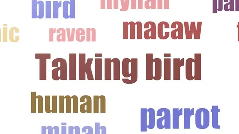 Talking Bird Word Cloud Animated On White Background Stock Footage 107204276