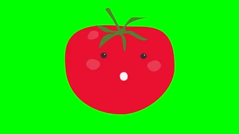 A talking drawn tomato with eyes or a vegetable on a chromakey green background Stock Footage 240075335