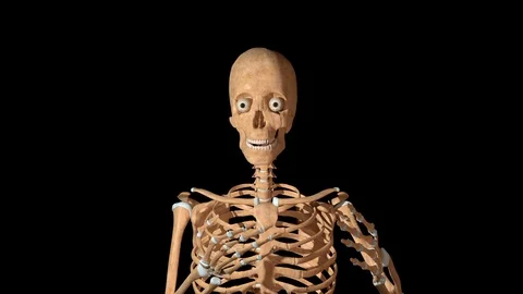 Talking Skeleton Stock Footage 125606109