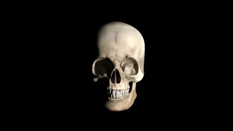 Talking skull lit by a spotlight - black background Video stock 319826053
