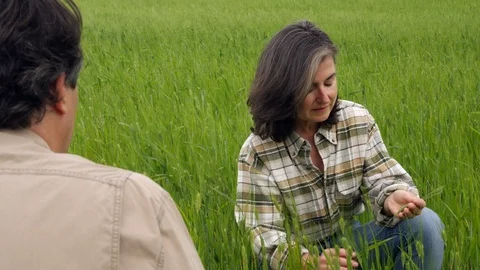 Talking, Smiling, Outdoors, Day, Over The Shoulder View, Crouching, Mature Stock Footage 94048973