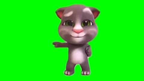 Talking Tom dances against the backdrop of chromakey footages Stock Footage 149766120