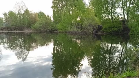 Tall birches, clouds and the rising sun reflected in the shaky surface Stock Footage 310707186