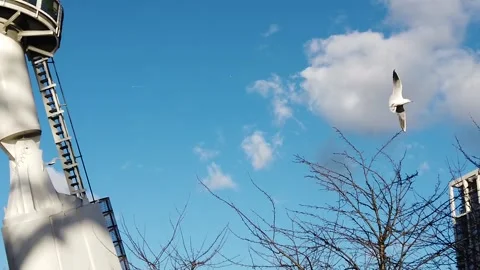 A tall building Video stock 155355609
