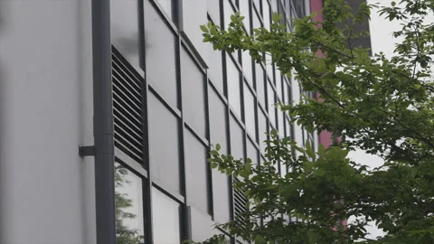 A tall building with a tree in front of it Stock Footage 301626645
