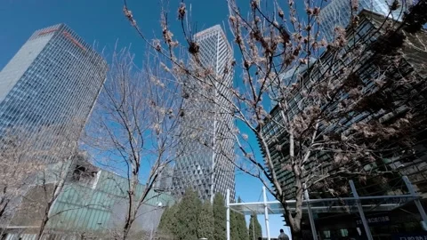 Tall building in winter Video stock 233651940