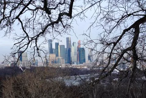 Tall buildings in the background in the branches of trees Foto stock