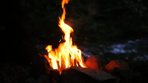 Tall Campfire Burning in Dark Forest Near River. Atmospheric Night Camping. 動画素材 335681361
