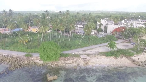 Tall Coconut trees next to the beach Stock Footage 88572779