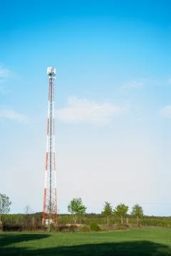 Tall communication tower under a clear blue sky surrounded by trees in a ru.. Stock Photos