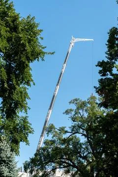 Tall construction crane rising between lush green trees Foto stock