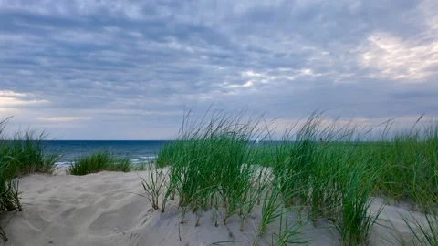 Tall dune grass along lake Michigan shore ta Grand Haven beach. Stock Footage 320279846