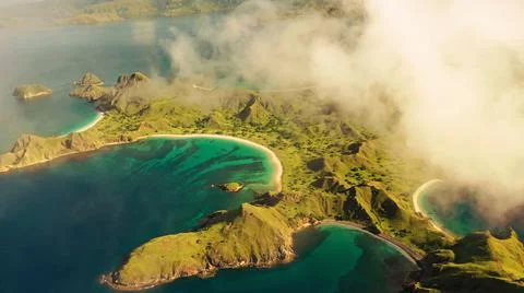The tall elephant cliffs blocking the waves are covered with green trees and  Foto stock
