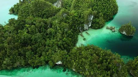 The tall elephant cliffs blocking the waves are covered with green trees and  Stock Photos