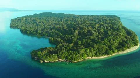 The tall elephant cliffs blocking the waves are covered with green trees and  Stock Photos