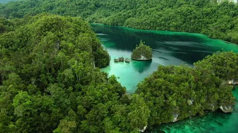 The tall elephant cliffs blocking the waves are covered with green trees and  Foto stock