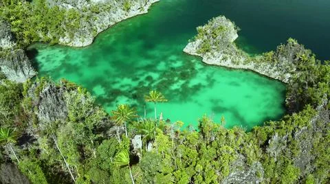 The tall elephant cliffs blocking the waves are covered with green trees and  Stock Photos