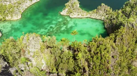 The tall elephant cliffs blocking the waves are covered with green trees and  Stock Photos