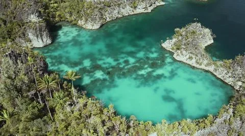 The tall elephant cliffs blocking the waves are covered with green trees and  Stock Photos