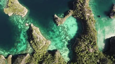 The tall elephant cliffs blocking the waves are covered with green trees and  Stock Photos