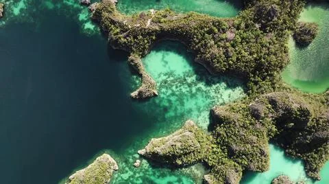 The tall elephant cliffs blocking the waves are covered with green trees and  Stock Photos