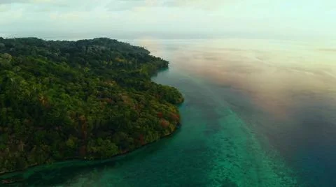 The tall elephant cliffs blocking the waves are covered with green trees and  Stock Photos