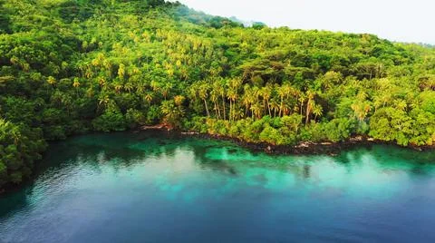The tall elephant cliffs blocking the waves are covered with green trees and  Stock-Fotos