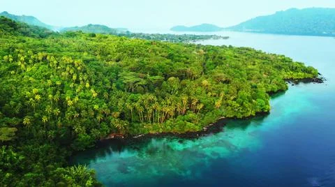 The tall elephant cliffs blocking the waves are covered with green trees and  Foto stock