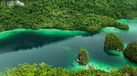 The tall elephant cliffs blocking the waves are covered with green trees and  Stock Photos